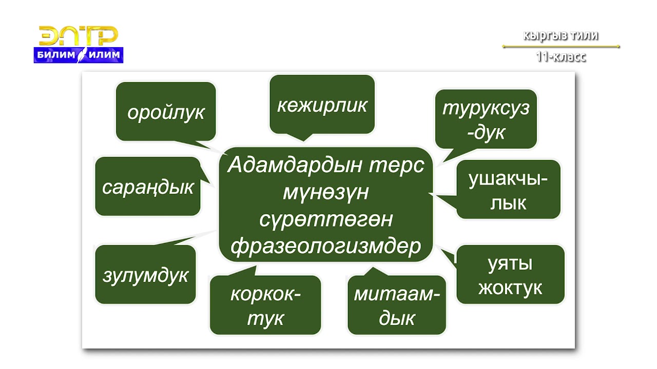 11-класс | Кыргыз тили | Фразелогизм, алардын түрлөрү, айырмачылыгы