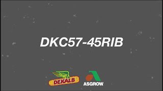 DKC57-45RIB