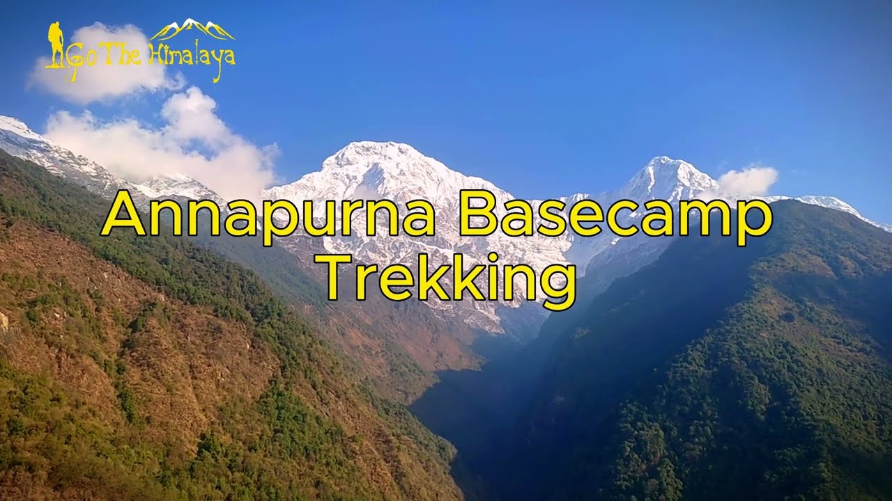 Highlight of Annapurna Basecamp Trek ABC trek Annapurna Sanctuary  Trekking In Nepal Best Trek