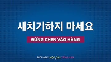 Học tiếng Hàn 2022 | MỖI NGÀY MỘT CÂU TIẾNG HÀN [새치기하지 마세요]