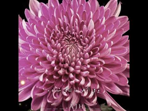 على كل شيئ رأيت وجودك