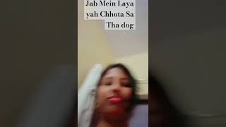 cute dog ke sath video hai Banai aur Masti Mein Ham Bhi Aaye fun karo video Hamari video acchi