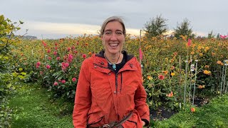 Floret Farm Tour: Fall in the Dahlia Seedling Patch