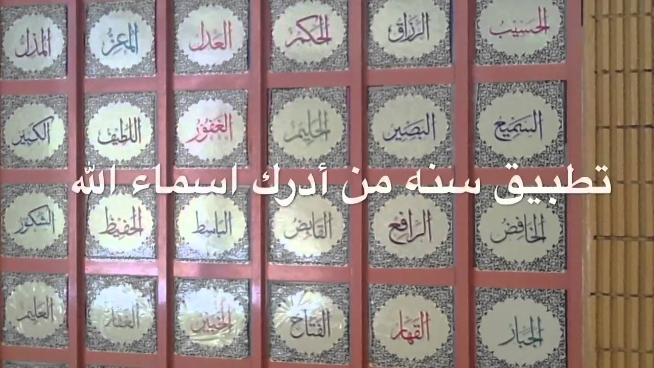 الابتدائية الثالثة والعشرون بالهفوف فينا خير ( مبدعون ) 23/5/ 1436 هـ