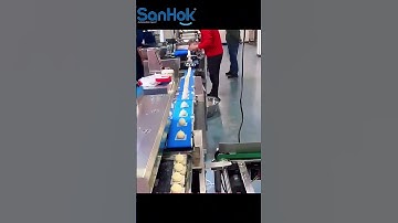 Fully automatic steamed bun production line