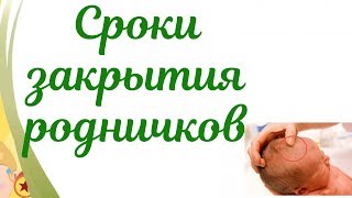 Сроки закрытия родничков! 6 родничков у новорожденного это норма?