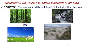 Biodiversity Summary: Year 1 of OCR A level  Biology