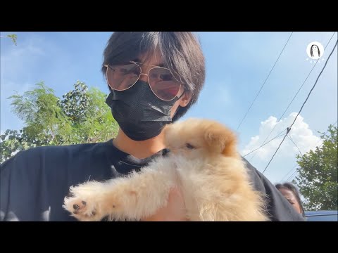 [VLOG] outing // raven