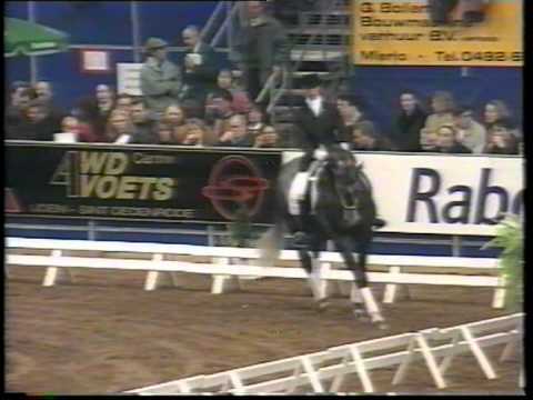 (3) STV_STV Dressage Horses 1995