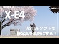 X-E4 | 私流！桜写真はASTIAでこう素敵にする！FUJIFILM
