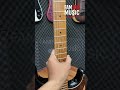 Squier Stratocaster Standard Series in Antique Burst 2009 Mii