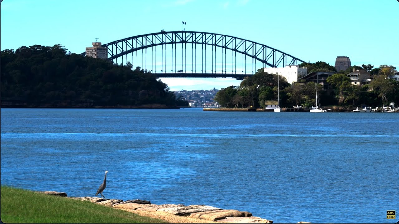 Sydney Dog Park with the Best View - Clarke's Point Reserve (Sony A7SIII HLG/HDR 4K)