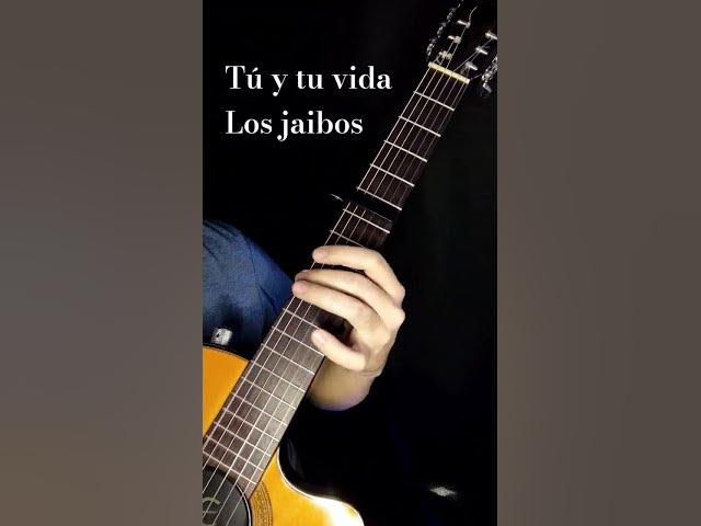 Tú y tu vida - Los jaibos  #requinto #guitar #losjaibos