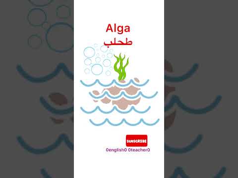 تعلم اللغة الإنجليزية كيف نقول الطحالب باللغة الإنجليزية  
