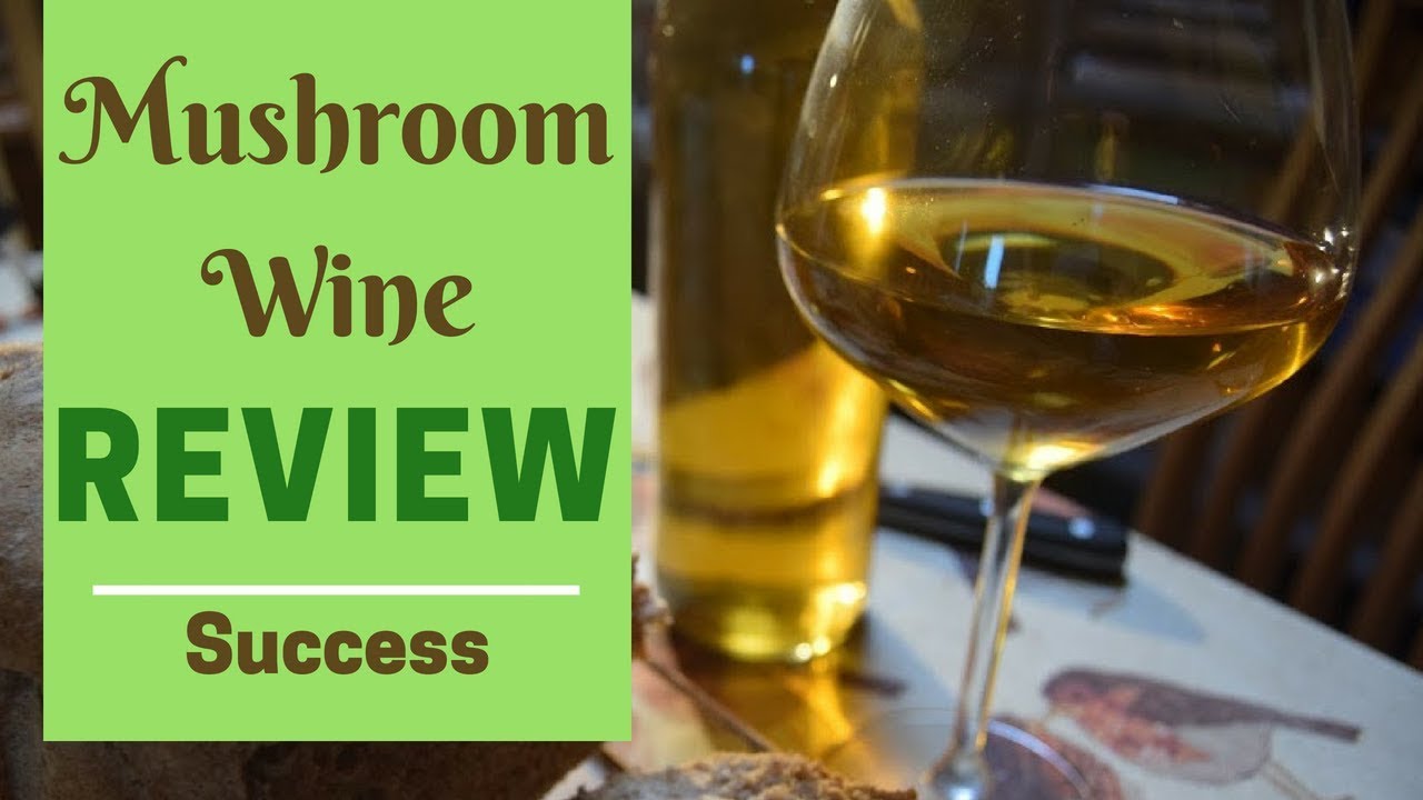 Mushroom wine taste test and review! YouTube