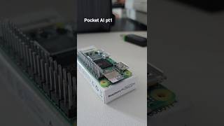 Pocket AI on pi zero 2w part 1 #raspberrypi #ai #project