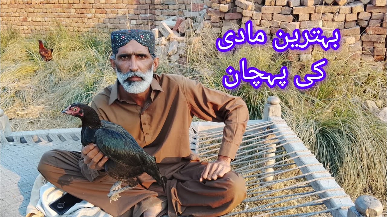 Behtarin Madi ki pahchan