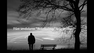 SözYazanBey-Bakakaldım #aivocals #14şubat#sevgililergunu #beklemek #shorts #aşk #keşfetbeniöneçıkar