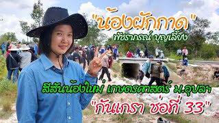 "น้องผักกาด" สีสันน้องใหม่ เกษตรศาสตร์ ม.อุบลฯ "กันเกรา ช่อที่ 33"