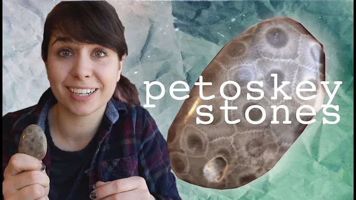 Unveiling the Mysteries of Petoskey Stones: Michigan's Ancient Coral Fossils