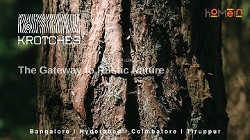 Adapting Human with Nature | Bringing Nature into Home | HomeIn Veneers |