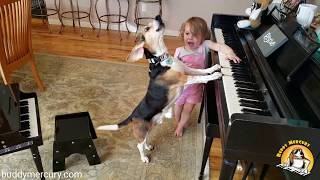 🎵 reunited and it feels so good 🎵 (Feat. Buddy Mercury Piano Dog and Lil Sis)