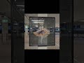 Public Space Art occupation with Acrylic glass ballerina painting #procreate