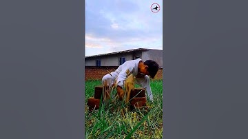 karate performance 🥋🥋  ||5 Tiles Break ||.  #karateperformance #martialartist #karatekid #karate