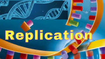 Introduction to Biotechnology Topics -  DNA REPLICATION