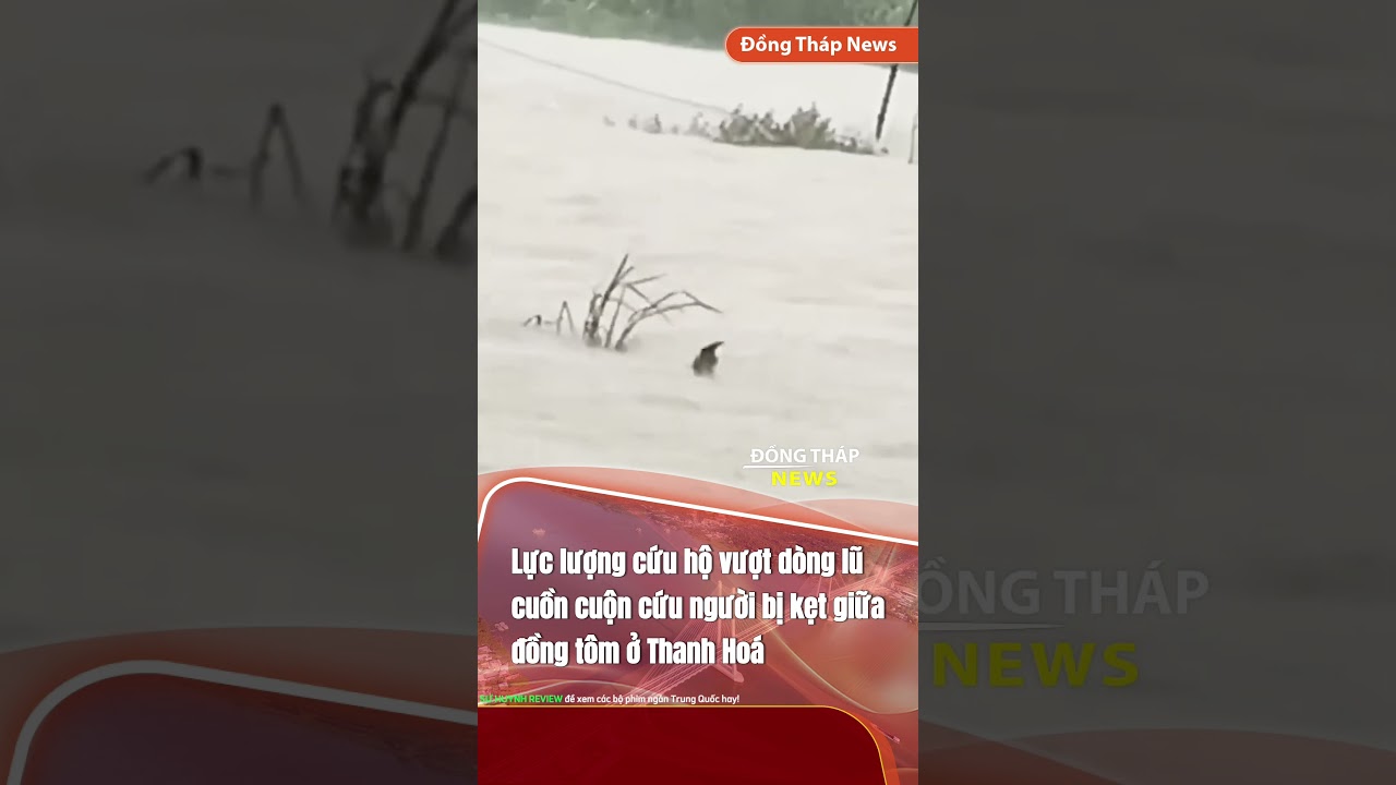 Thanh Hoá: Lực lượng cứu hộ vượt dòng lũ cứu người bị kẹt giữa đồng tôm #giaothong #tintuc