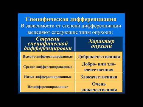 Патология - Лекция - Опухоли