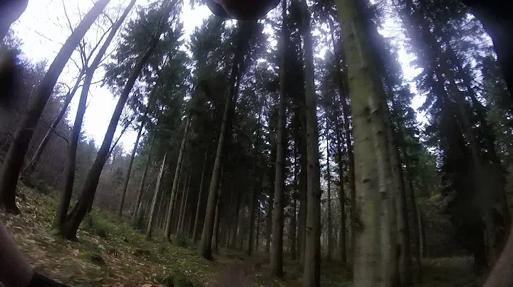 Lumens go to FoD pt 1