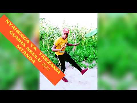 NYAHENGA YA TANZANIA GUMHA NKULU 2022 MASATA NYAHENGA YA TANZANIA GUMHA NKULU 2022 MASATA