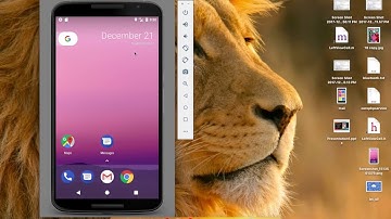 Take Screen Shot In Emulator