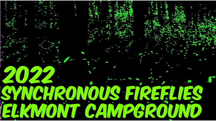 2022 SYNCHRONOUS FIREFLIES Elkmont Campground FOOTAGE OF THE FIREFLIES.