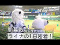 祝プロ野球開幕！ライナの1日に密着してみた【埼玉西武ライオンズvs北海道日本ハムファイターズ 無観客試合】