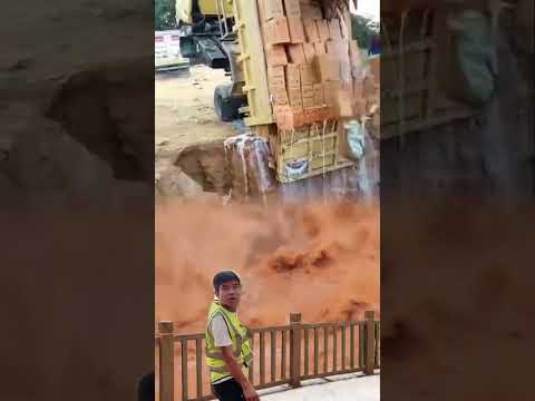 Top Video Amazing Entertaining Videos That Entertain And Bring Positivity To You Top Trending 133