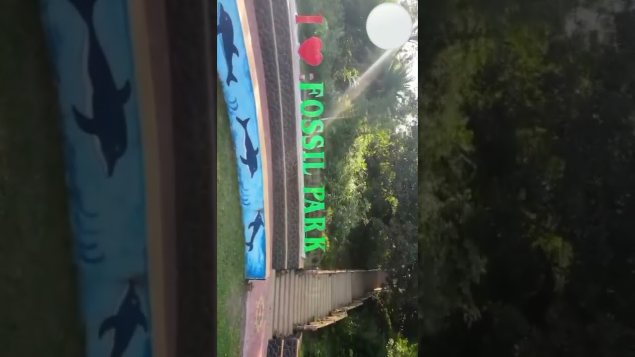 FOSSIL PARK MANDRO SAHIBGANJ 