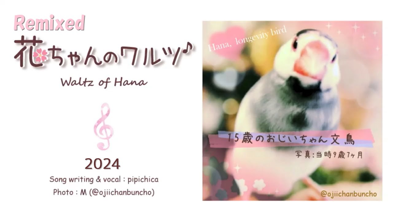 花ちゃんのワルツ2024（リミックス・バージョン）～15歳のおじいちゃん