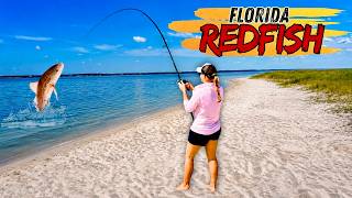 EASY inshore fishing for REDFISH!
