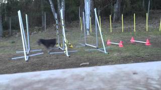 2016-04-01 Basic Grids med Boss