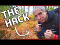 7 woodland photography hacks for beginners