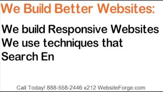 Websiteforge Web Design With Google Seo Advantages - Part 2