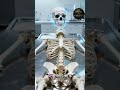 The Cold Case of St. Luke’s Bones 🧬🎨 #shorts #apostlesfile #stluke #curatedcryptics