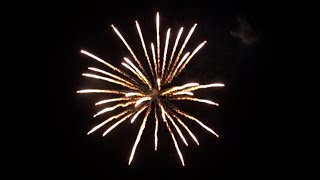 06178 - 5 inch shells - Silver palm to white strobe - Xena Vuurwerk