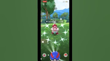 Shiny galarian zigzagoon in pokemon go #pokemongo #pokemon #shinypokemon #zigzagoon #viralpls