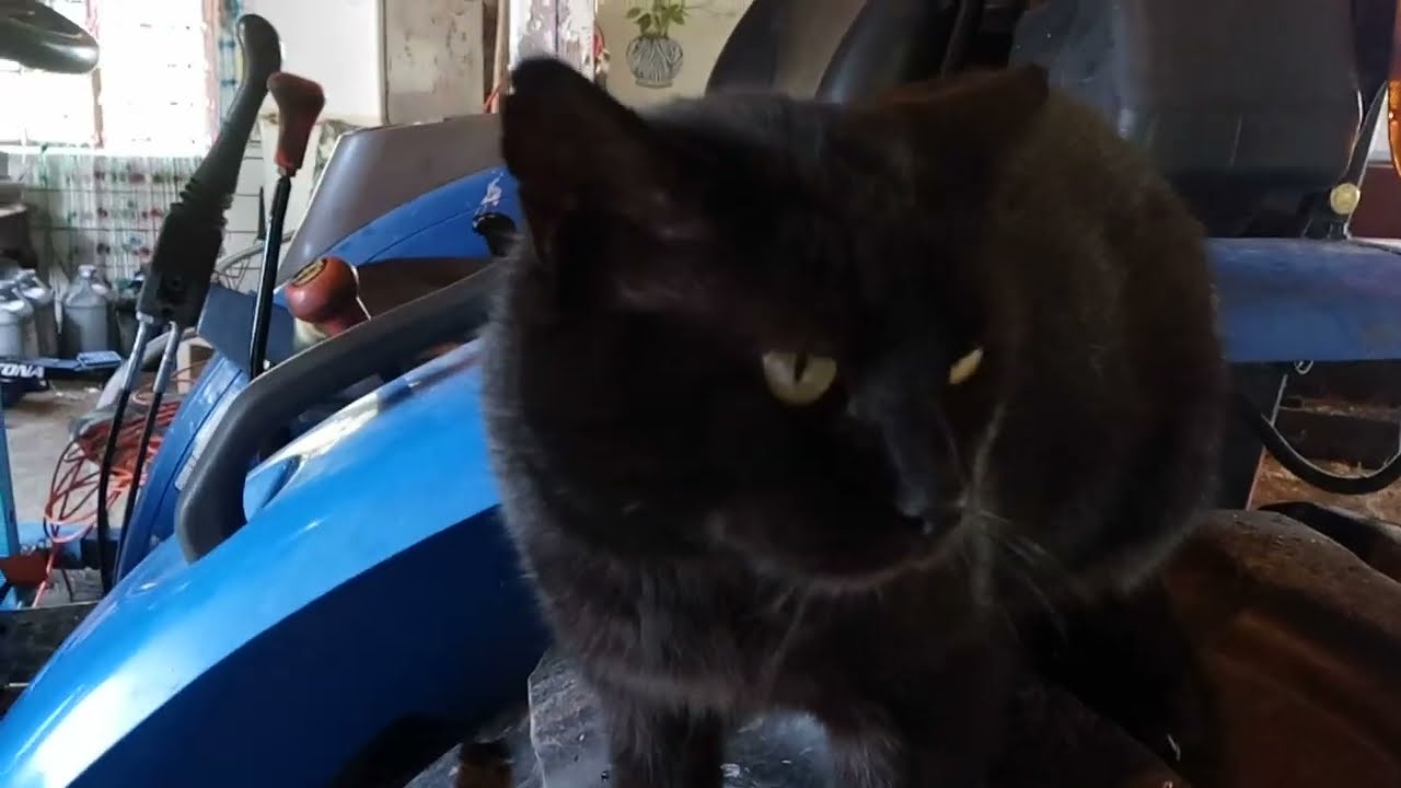 Part 28 - Mission Complete - New Holland Boomer 40 Splitting Tractor to Replace Clutch