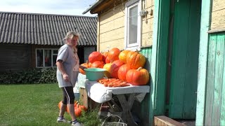 видео: В деревне Беларуси, Муж - железяка, Жена - огородница  картинка: В деревне Беларуси, Муж - железяка, Жена - огородница