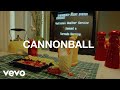 Michigander  cannonball official music