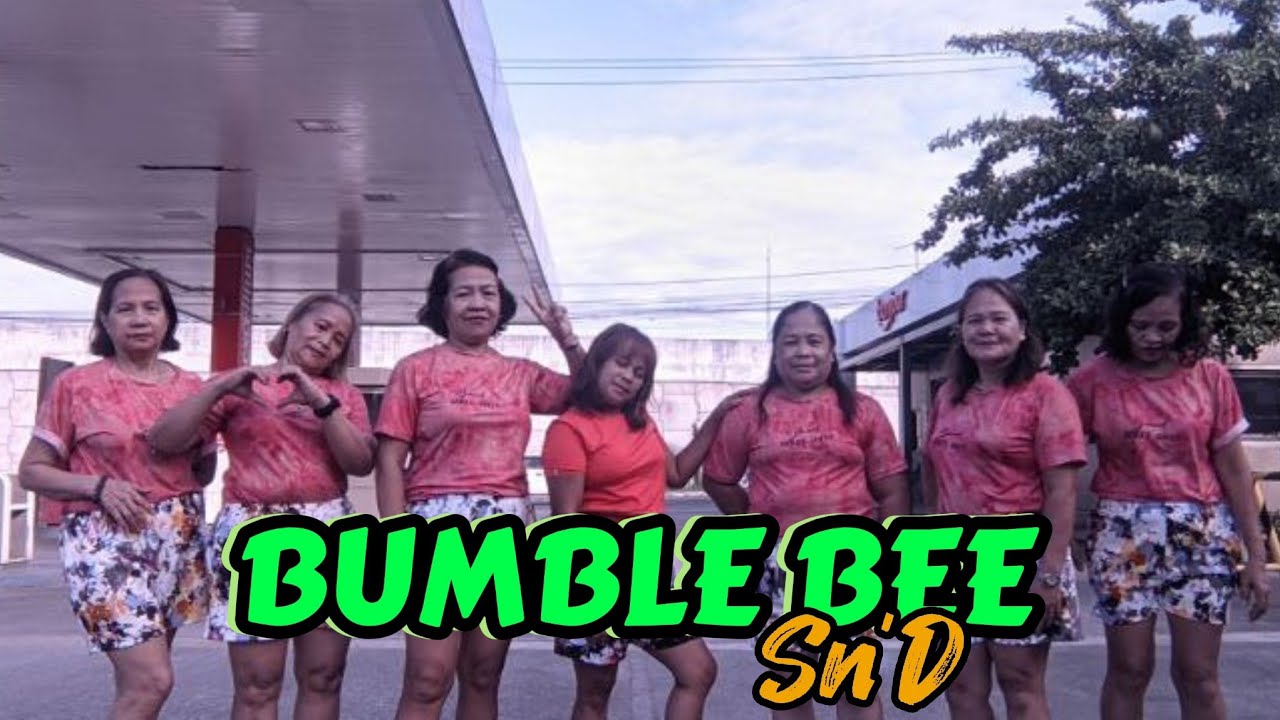 BUMBLE BEE | TikTok Viral 2025 [Remix] Dj Redem | Dance Fitness | SHAKE ...